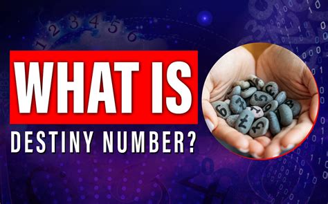 Lottery Numerology Predictions Using Life Path & Destiny Numbers.